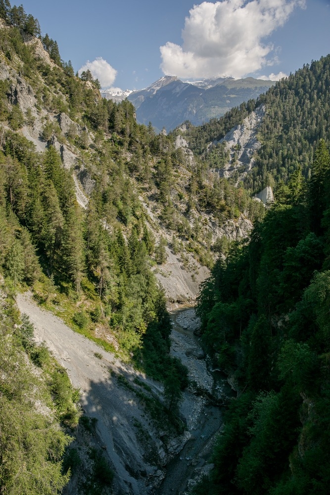 2G6A7687.jpg
