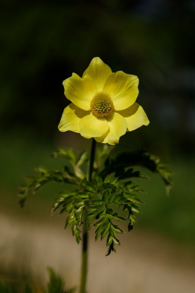2G6A8522.JPG