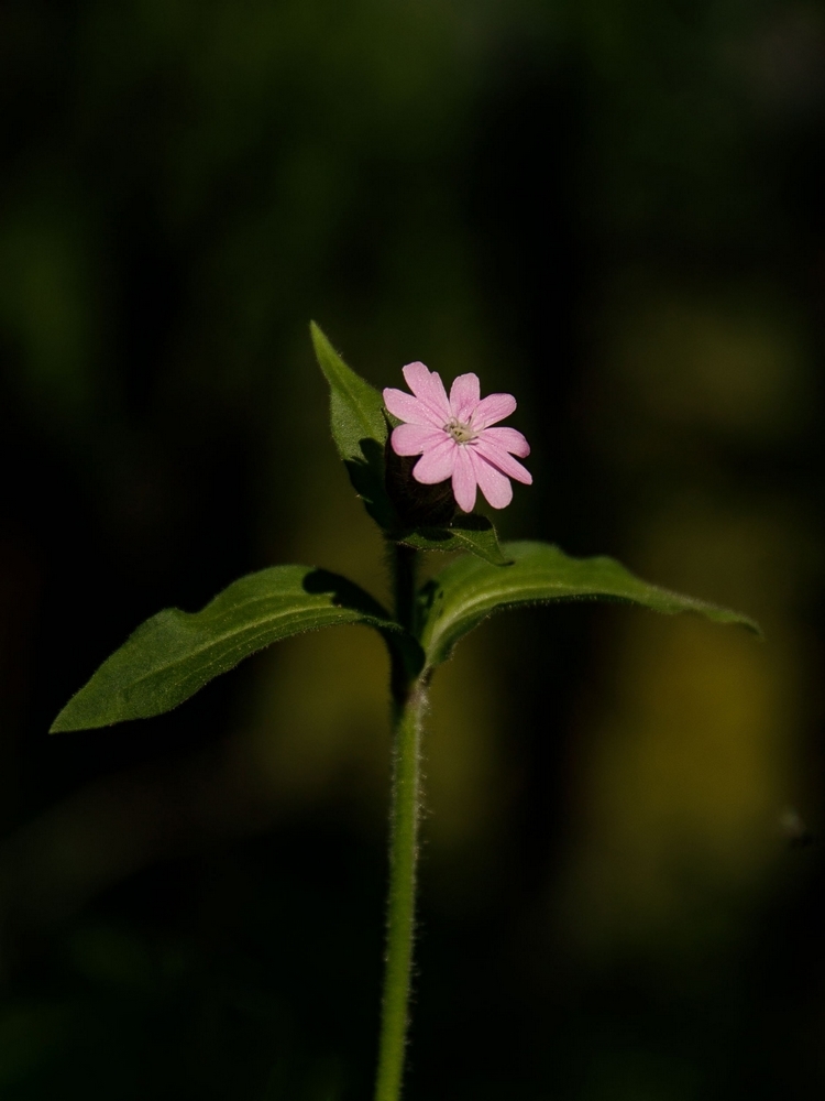 2G6A8528.jpg