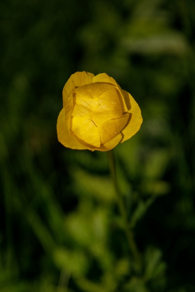 2G6A8532.jpg