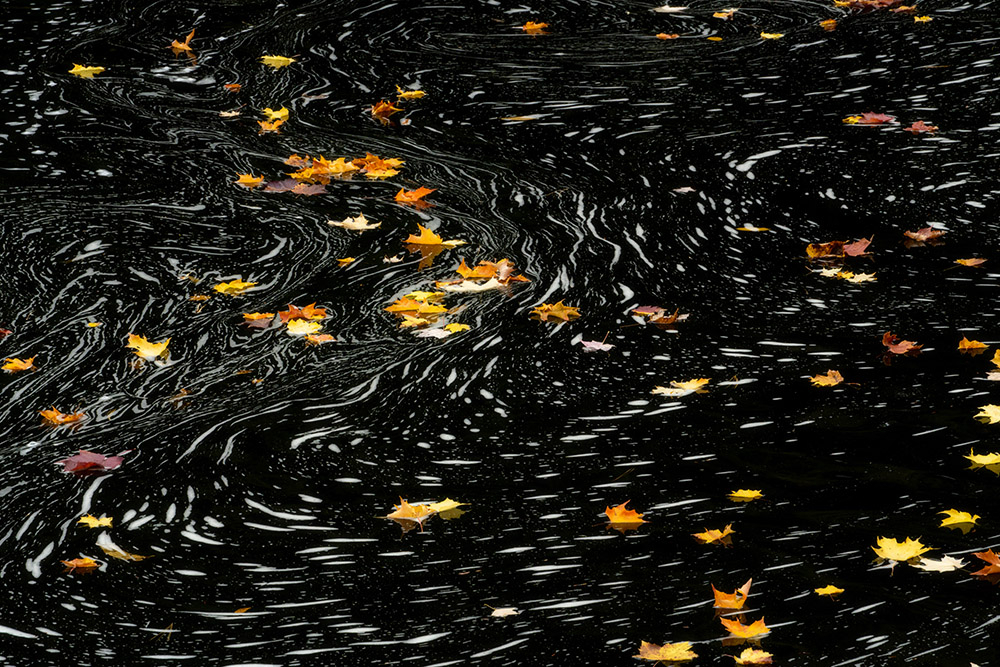DSD03430web.jpg.2e3debdfdf176d067315886934904aee.jpg