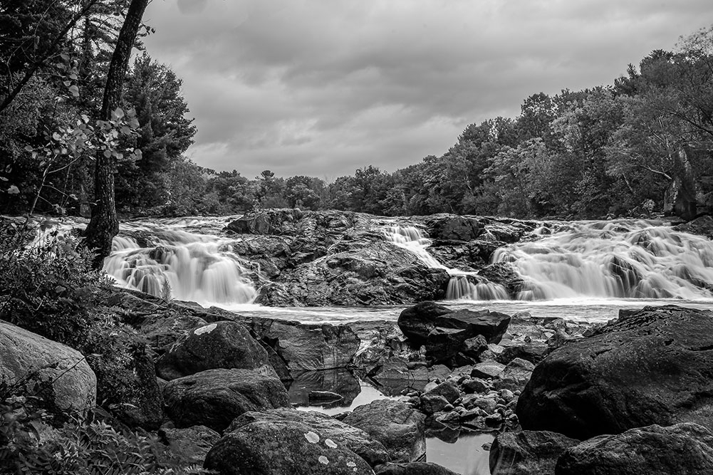 DSD03456-2NBweb.jpg.f3c5c23f1ebe2f65ac7d694bb1e35a5d.jpg