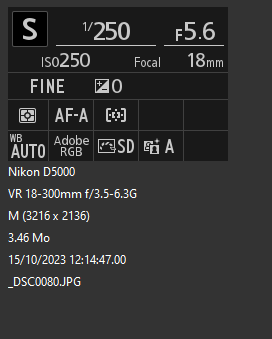 image.png.c95732ed55b6e5d6dff8555544cb0ad9.png
