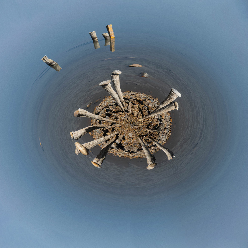 vacares2.jpg.f66bbf7e7d1309820c48a55c216e568a.jpg