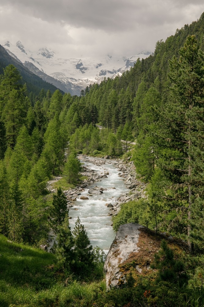 2G6A7964.jpg