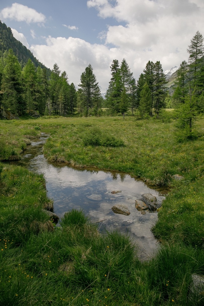 2G6A7971.jpg