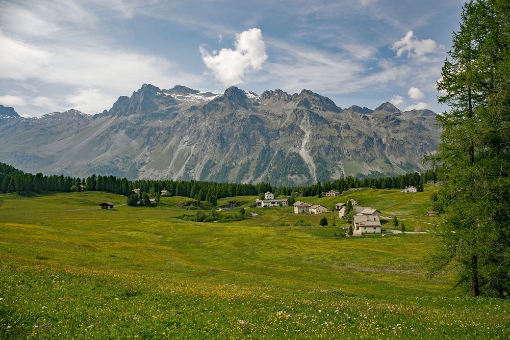 2G6A8379.jpg