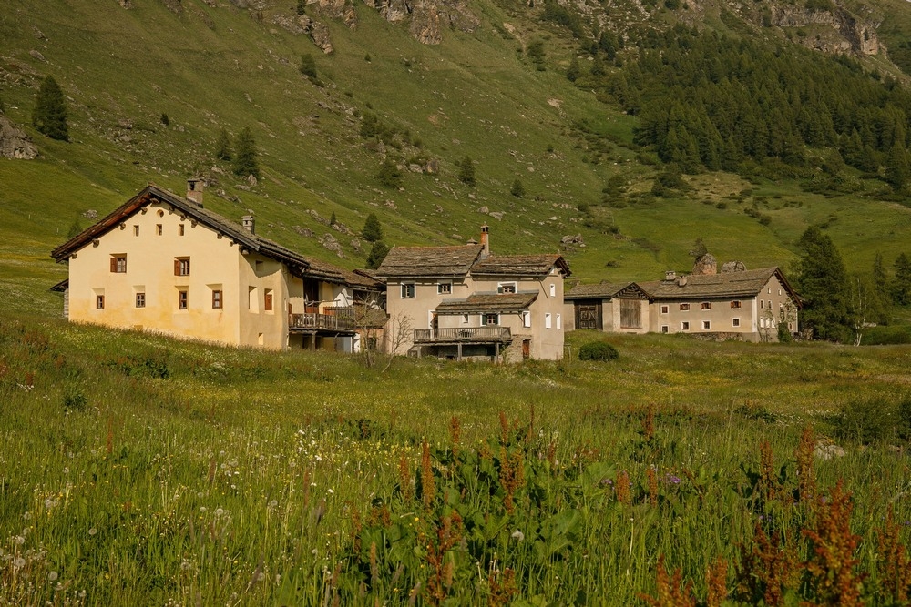 2G6A8493.jpg