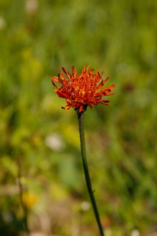 2G6A8538.jpg