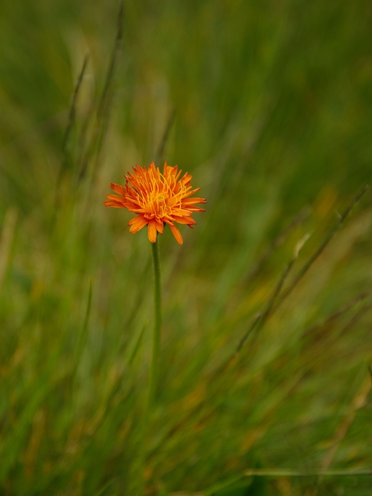 2G6A8715.jpg
