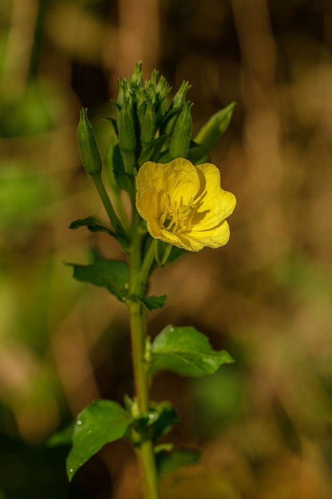 2G6A9126.jpg