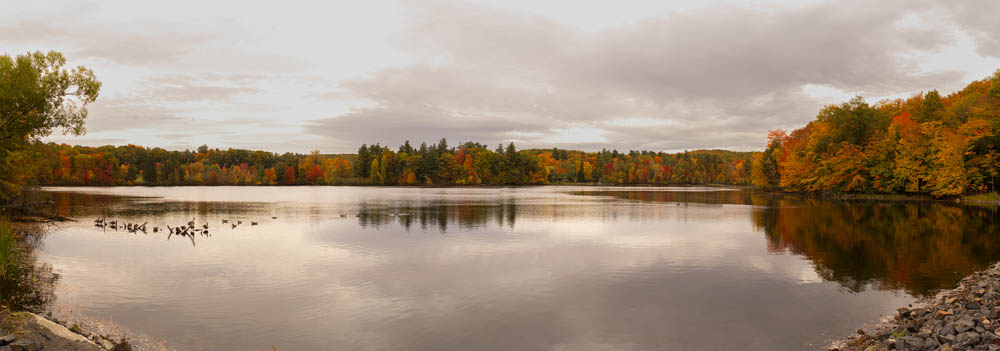 K1__3754Panorama.jpg.ae04a60afe132a24f6dbe9e57dced2d6.jpg