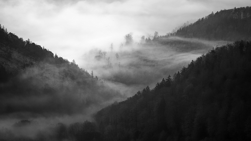 041A9781_DxO_1-border.jpg.ae8f134d87639fb650df5e1fbe14b39c.jpg