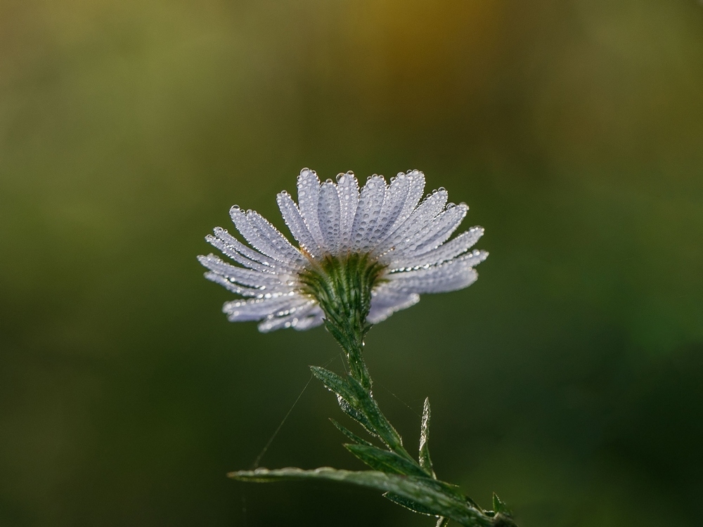 2G6A9670.jpg