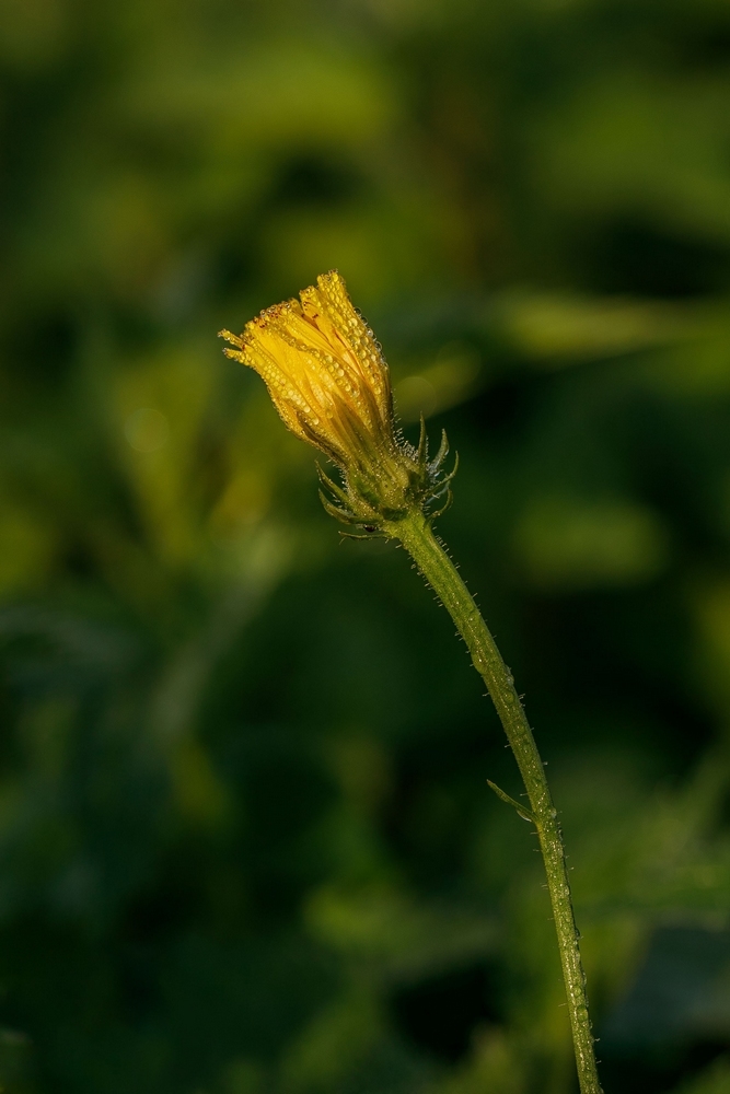 2G6A9674.jpg