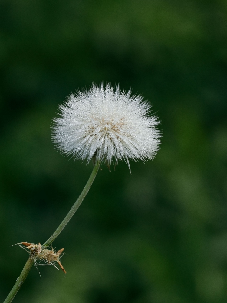 2G6A9680.jpg