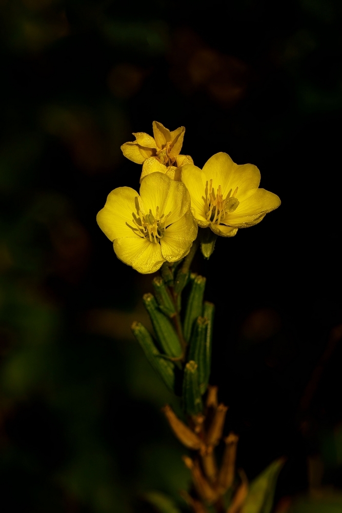 2G6A9692a.jpg