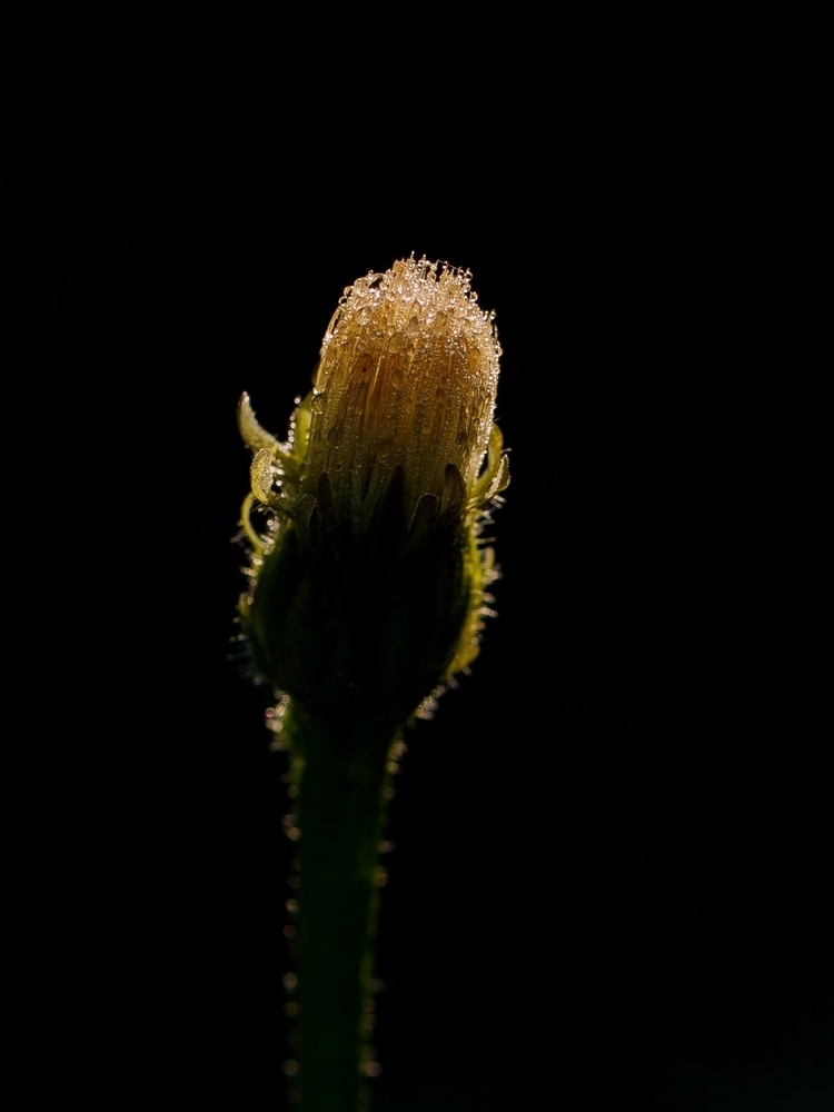 2G6A9732.jpg