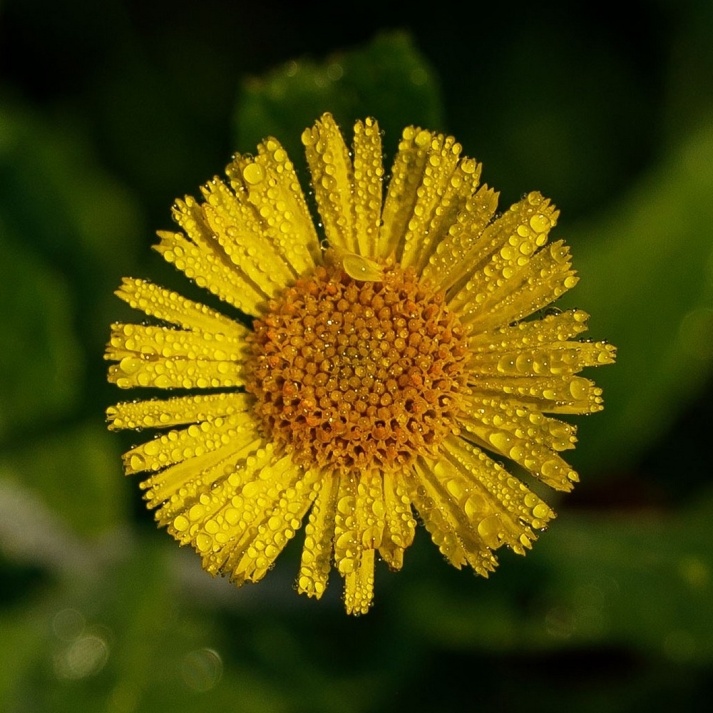 2G6A9739.jpg