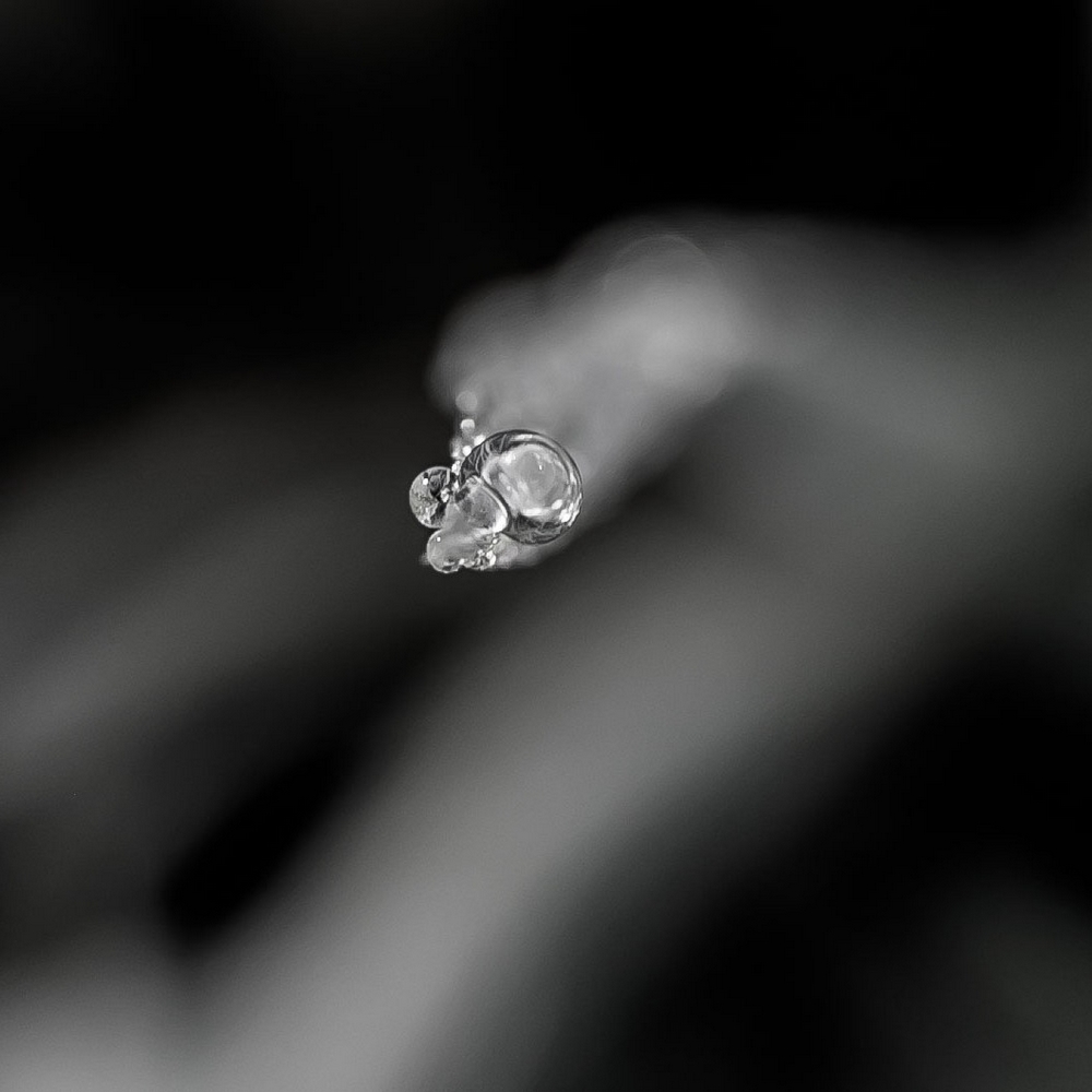 2G6A9751.jpg