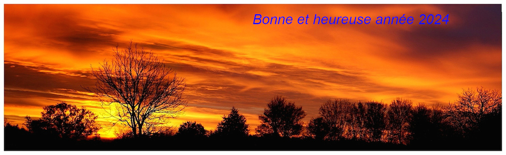 Bonne année 2024.JPG