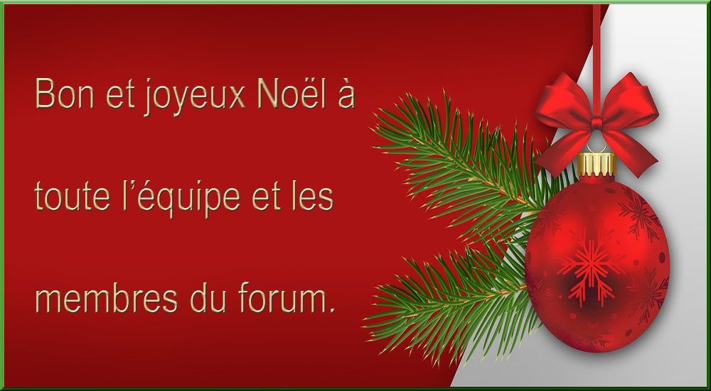 JoyeuxNol.jpg.285cc6c3251a3f838cefc27b312a84aa.jpg