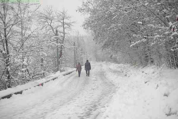 Promenade sous la neige