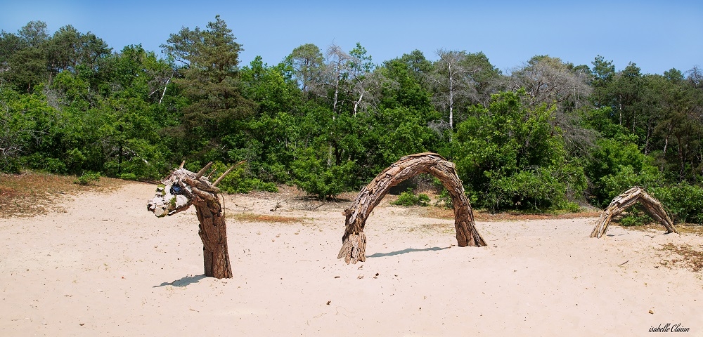 YANNICK LAND ART 2fp.jpg