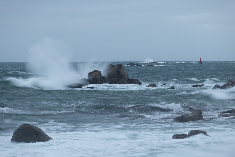 _D5A6958.jpg.03fcec9d2acdfa985e846169f628f45d.jpg