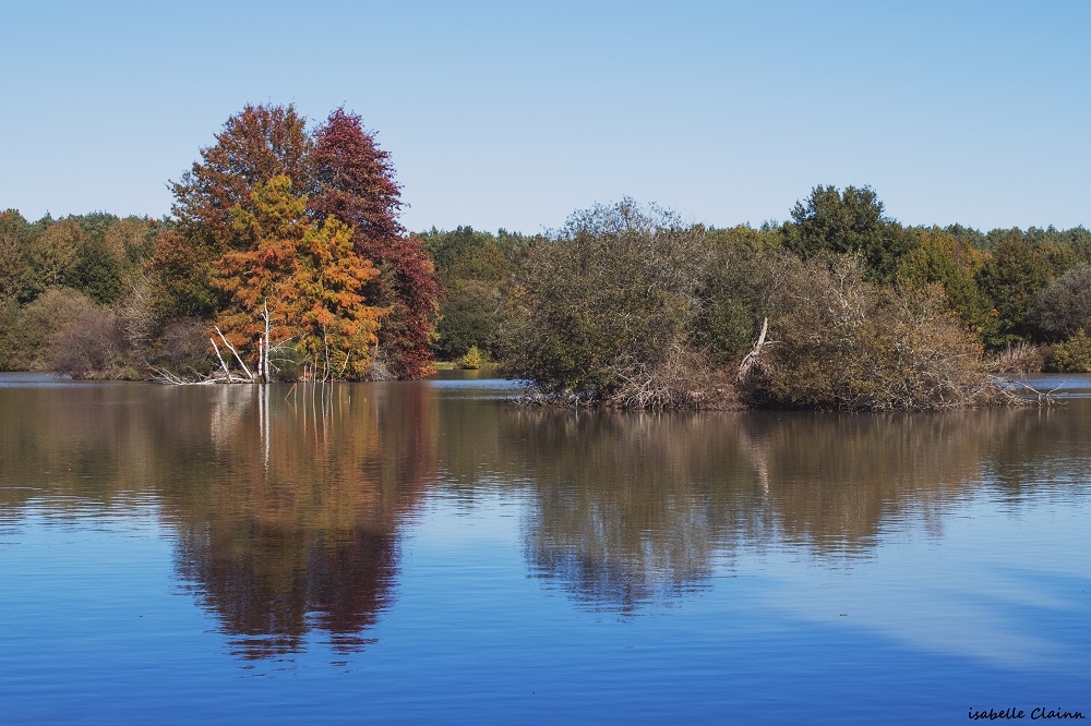 etang 1fp.jpg