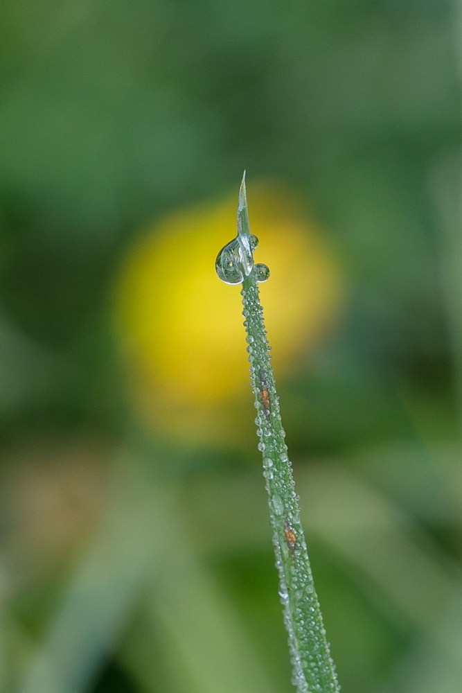 2G6A9755.jpg