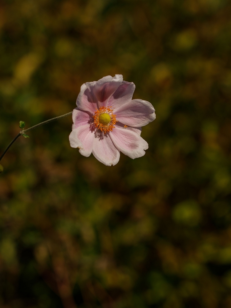 2G6A9771.jpg