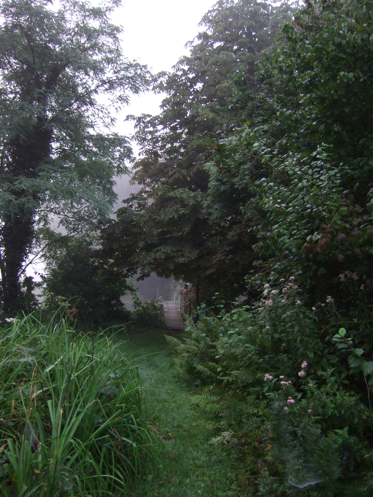 DSCF0071-forum.jpg