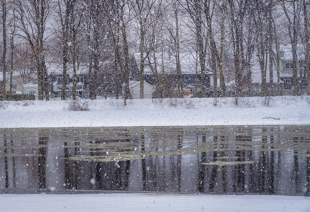 DSD03867web.jpg.a38f776afb2b65da40c77aaf404639a7.jpg