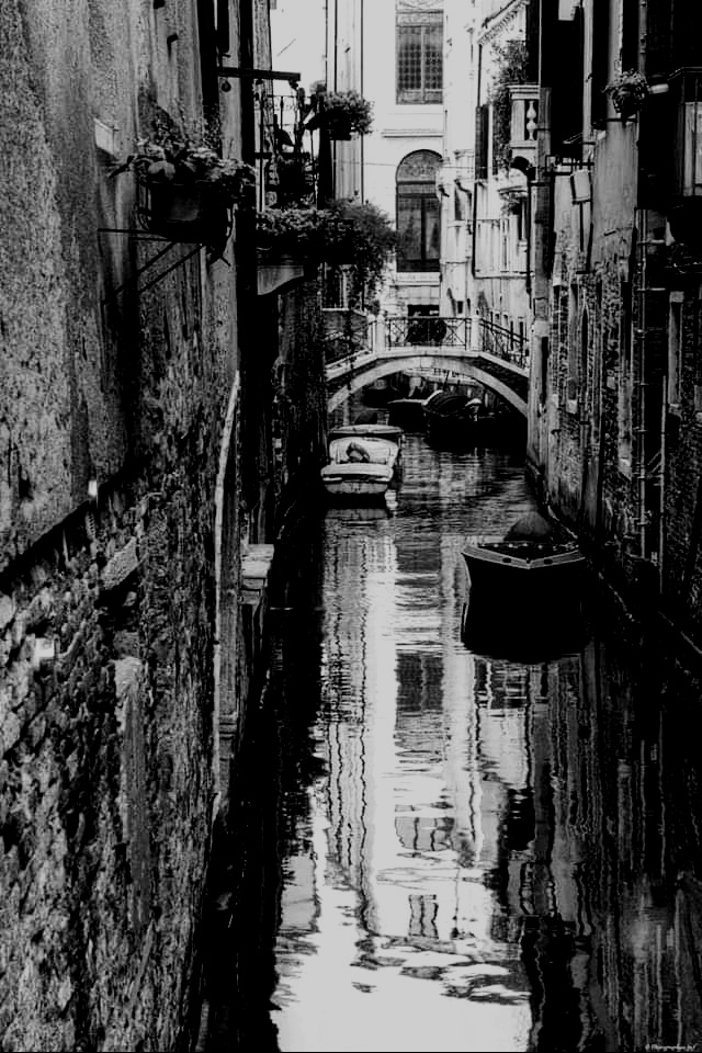 FB_IMG_1705473097248-01.jpeg.a7b715fe2286bb7b54e9c10715c03f40.jpeg