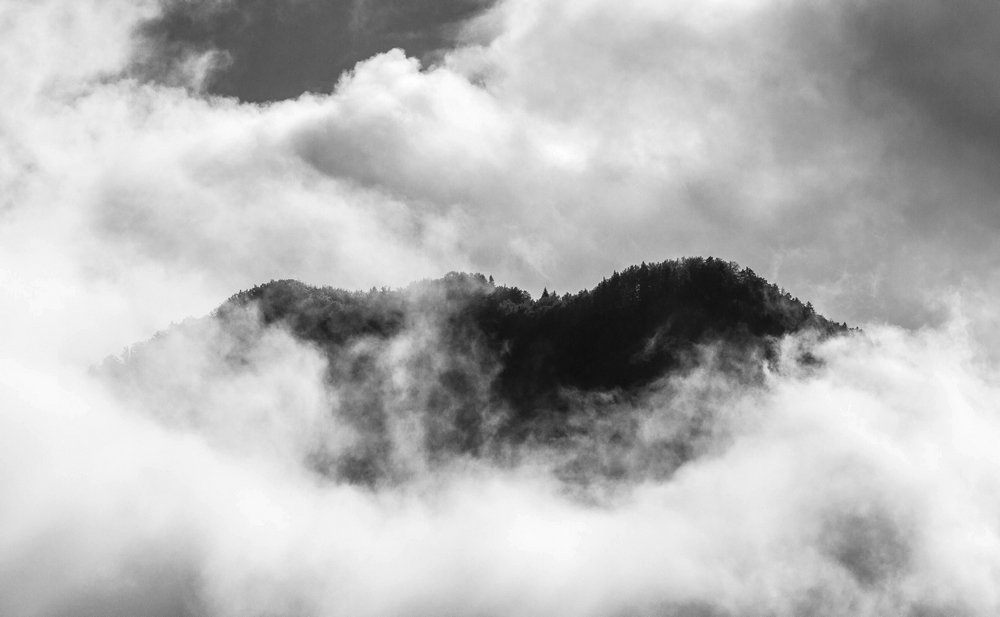 IMG_2882.jpg
