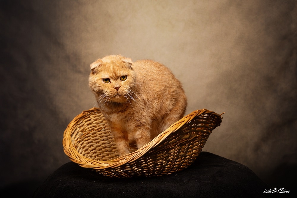 chat elliot 1fp.jpg