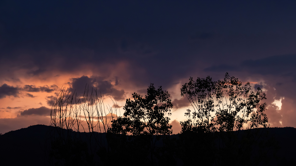 104A5335-export.jpg.d1133884f84ef2788a3de321d19764c2.jpg