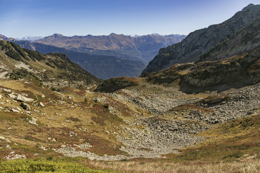 2G6A9193.jpg