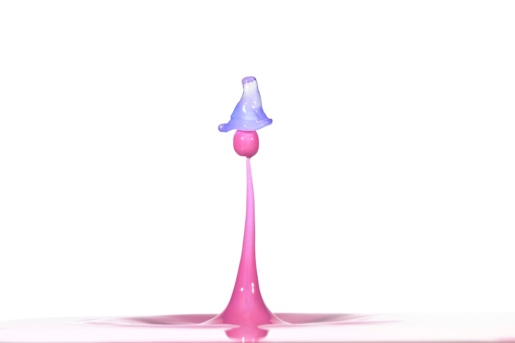 396A7565-Avec accentuation-Bruit-Modifier.jpg