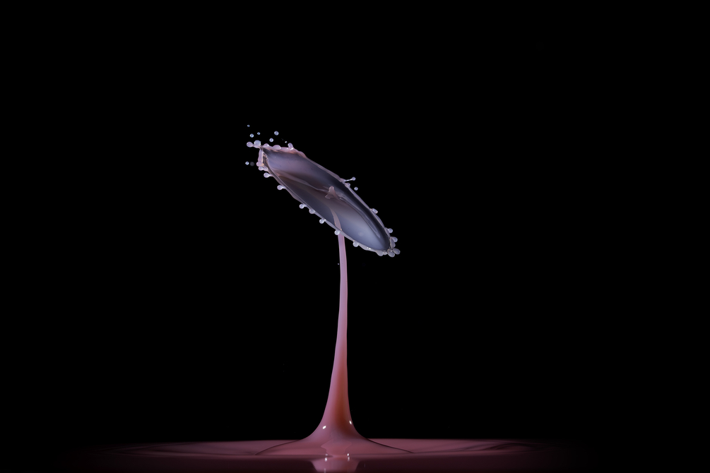 396A7658-Avec accentuation-Bruit-Modifier.jpg