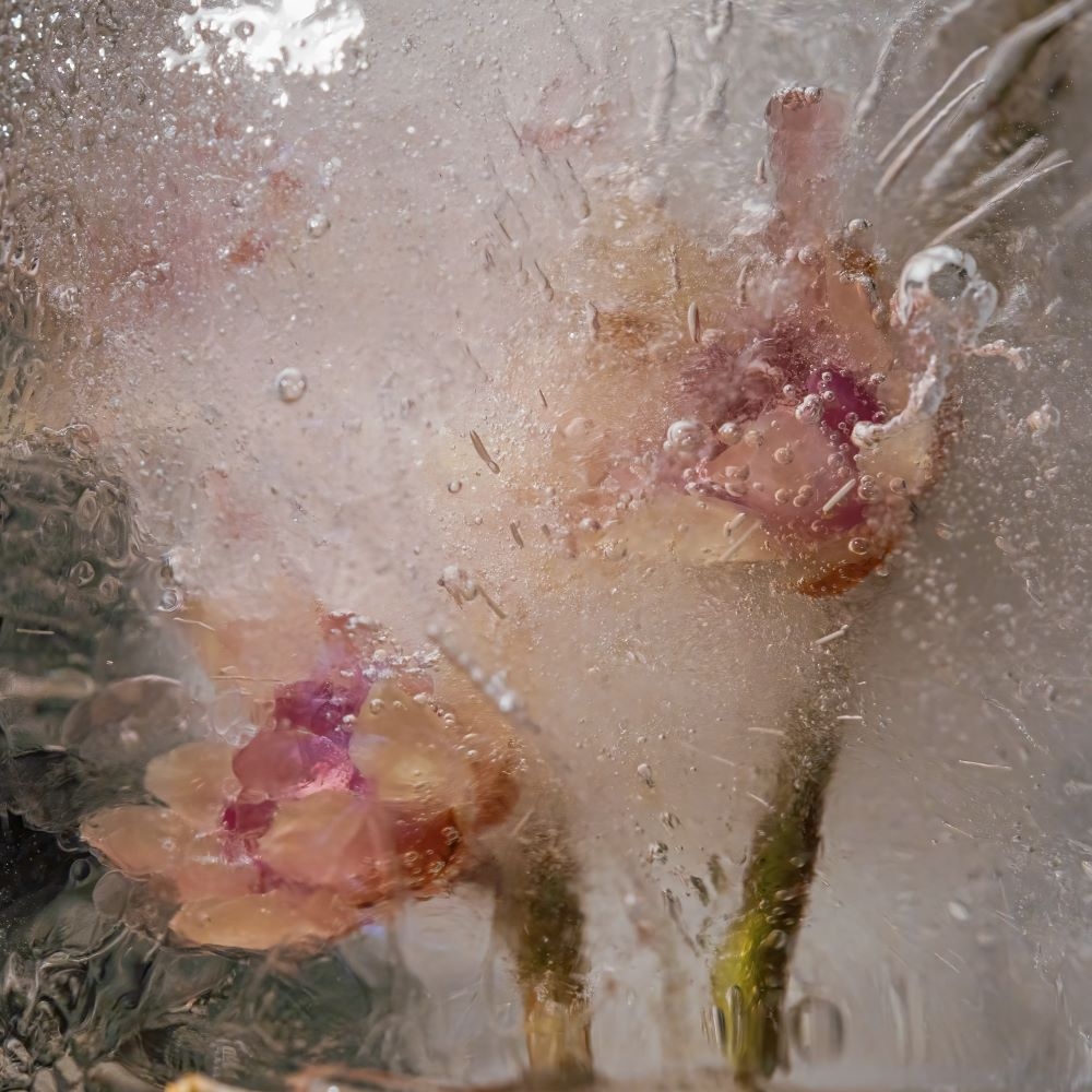 DSC06310 DN forum.jpg