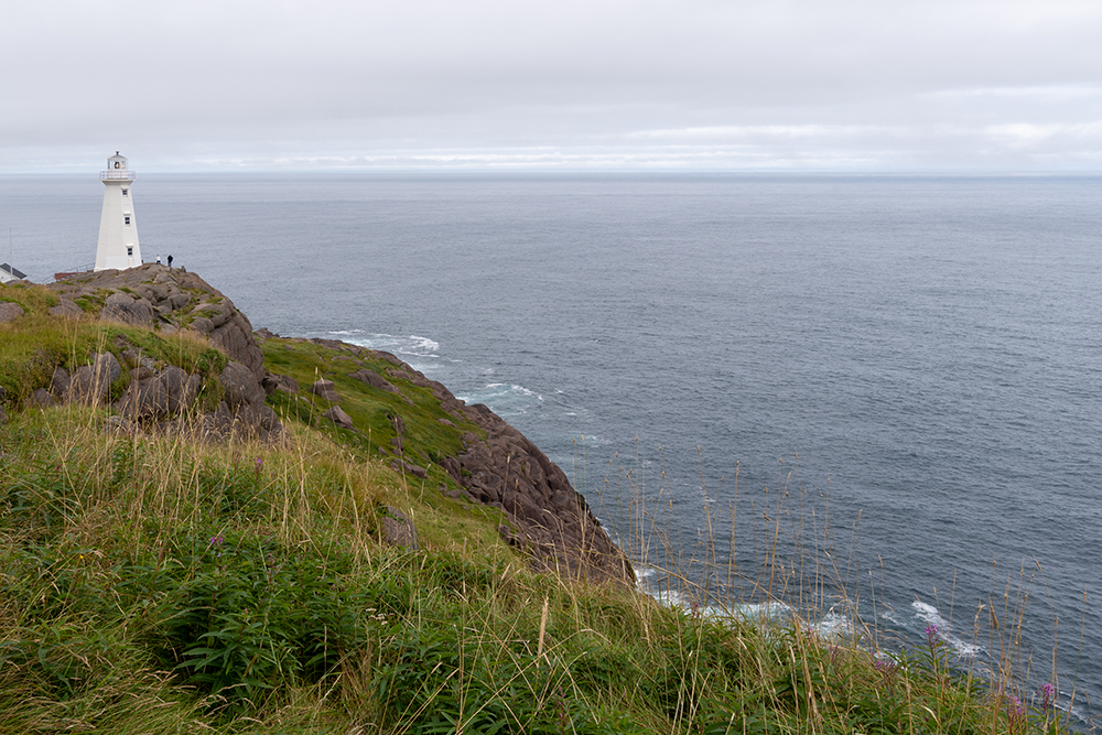 DSD01597-2web.jpg.a6b1f13878fd62a3068117912cab16d7.jpg