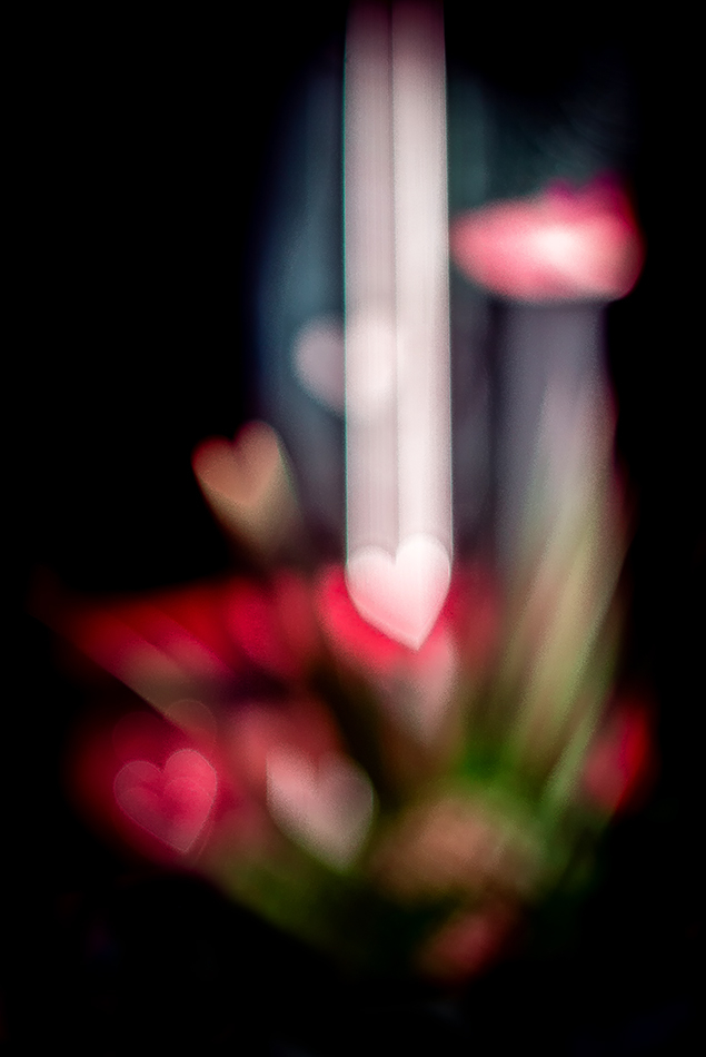 DSD03913web.jpg.efe50b448a835f7ab7fc9812dfd36683.jpg