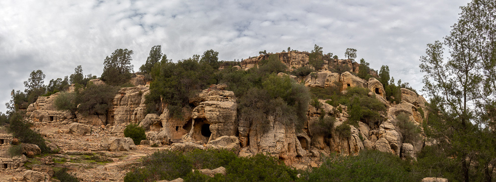 IMG_0170-Panorama.jpg.39ffbde58f3d7b5a664f7b6f6988b607.jpg