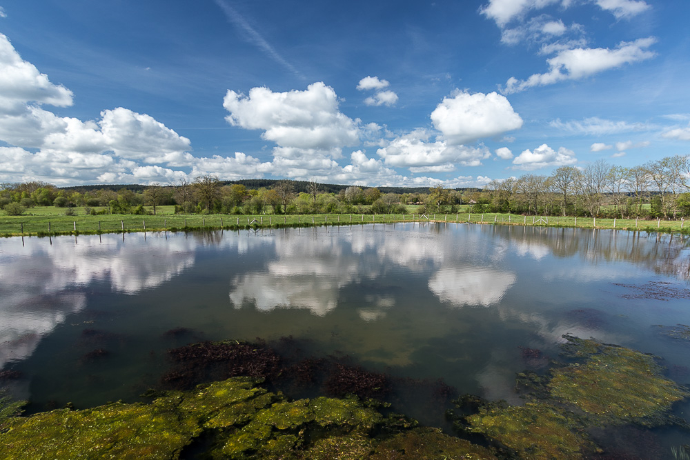 etang-du-do-photos-de-paysage-et-de-nature-forumdephotos