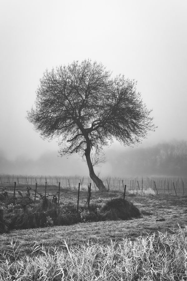 335.2 - Xavier11100.jpg