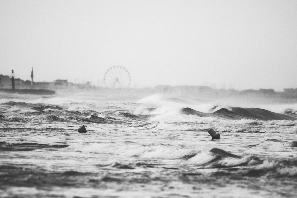 387.2 - Xavier11100.jpg