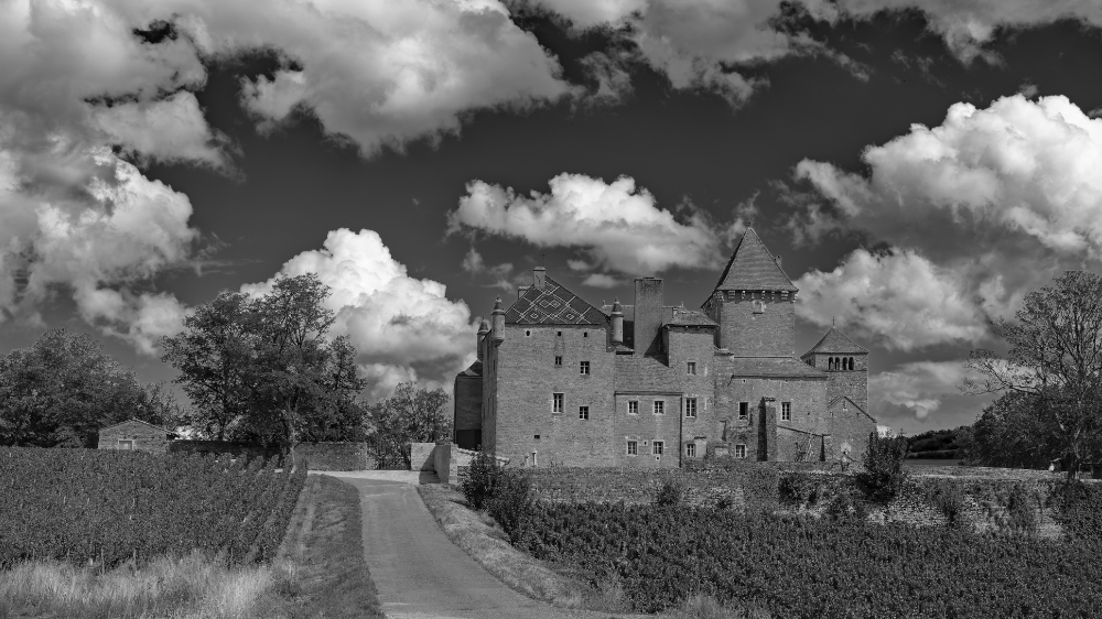 CrudeBourgogne..jpg.b20e3021c7c0ca7c6ff79cf6642a4a32.jpg