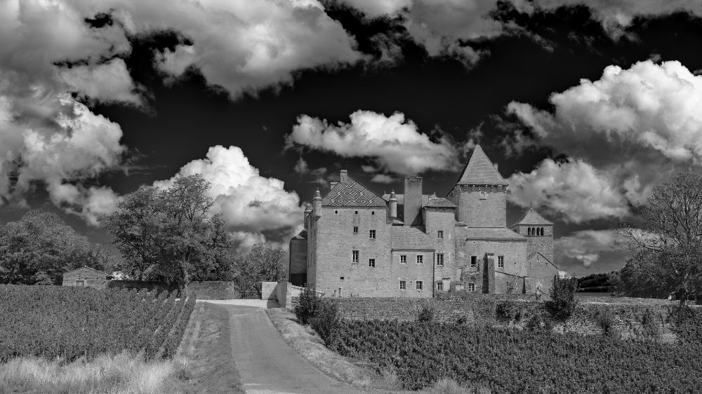 CrudeBourgogne.jpg.90e0a193133f228078cd8441f6ebf352.jpg